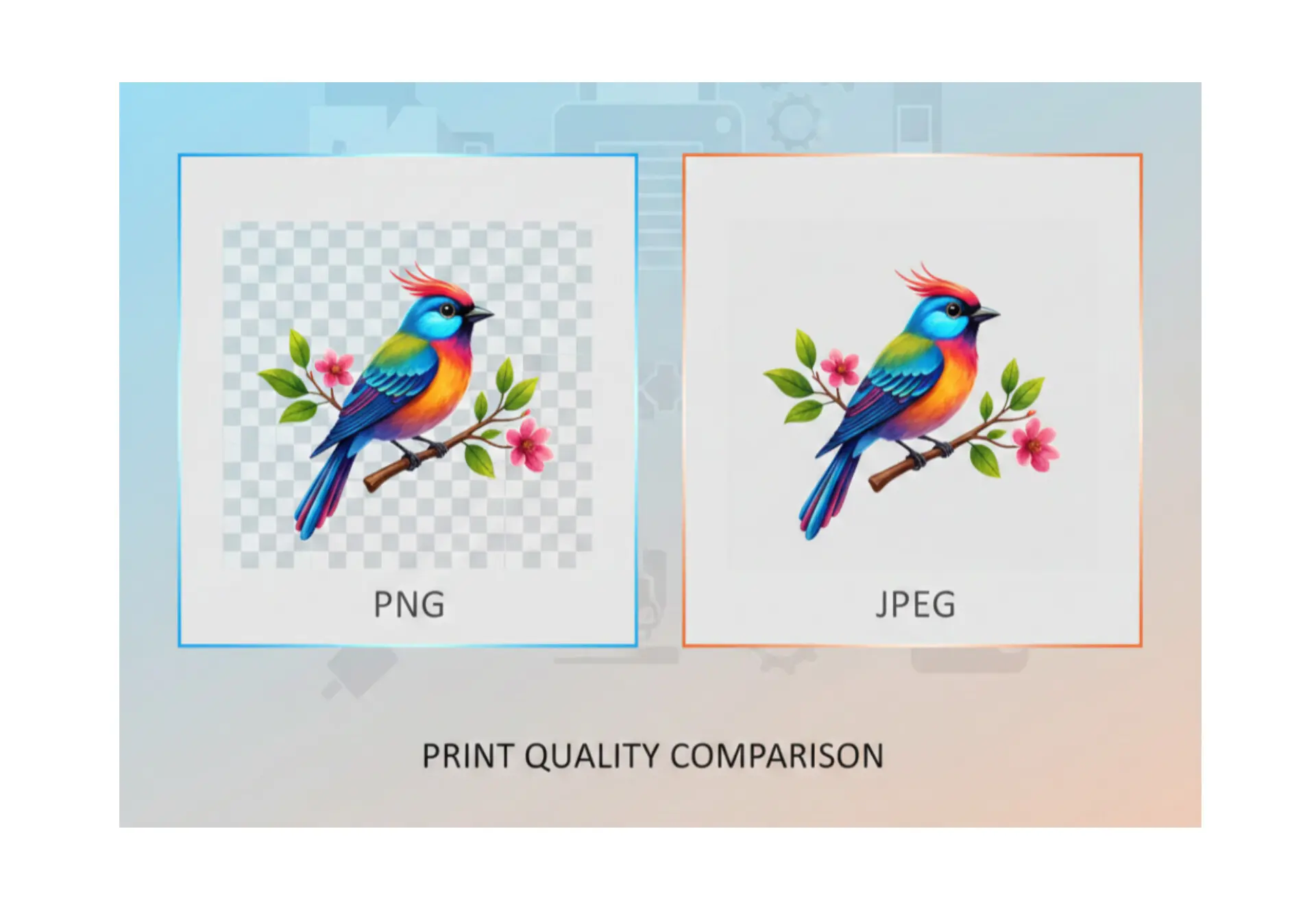 Is PNG or JPEG Better for Printing Expert Advice You Need